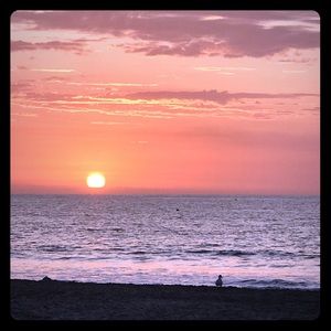 Meet your posher Nes